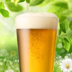 Frühlingsbier
