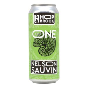 Hop Brook Just One Nelson Sauvin Thiolized Session IPA 0,5l