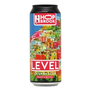 Hop Brook Level Catarina Sour 0,5l