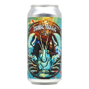 Schwarze Rose x Cottbuser Molle Trübe Molle II Hazy...